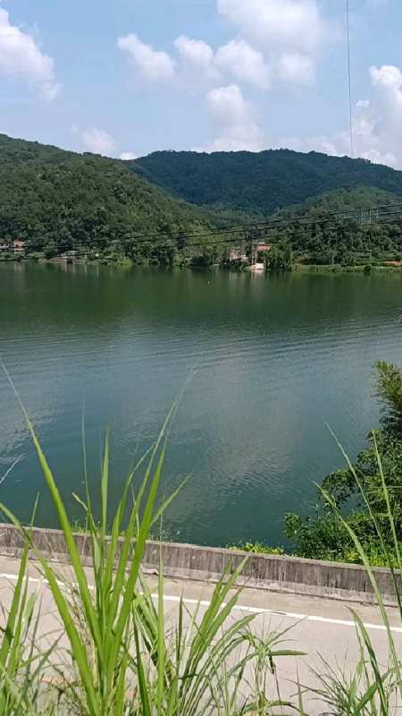 游山乐水,黄家桉寻龙点地.