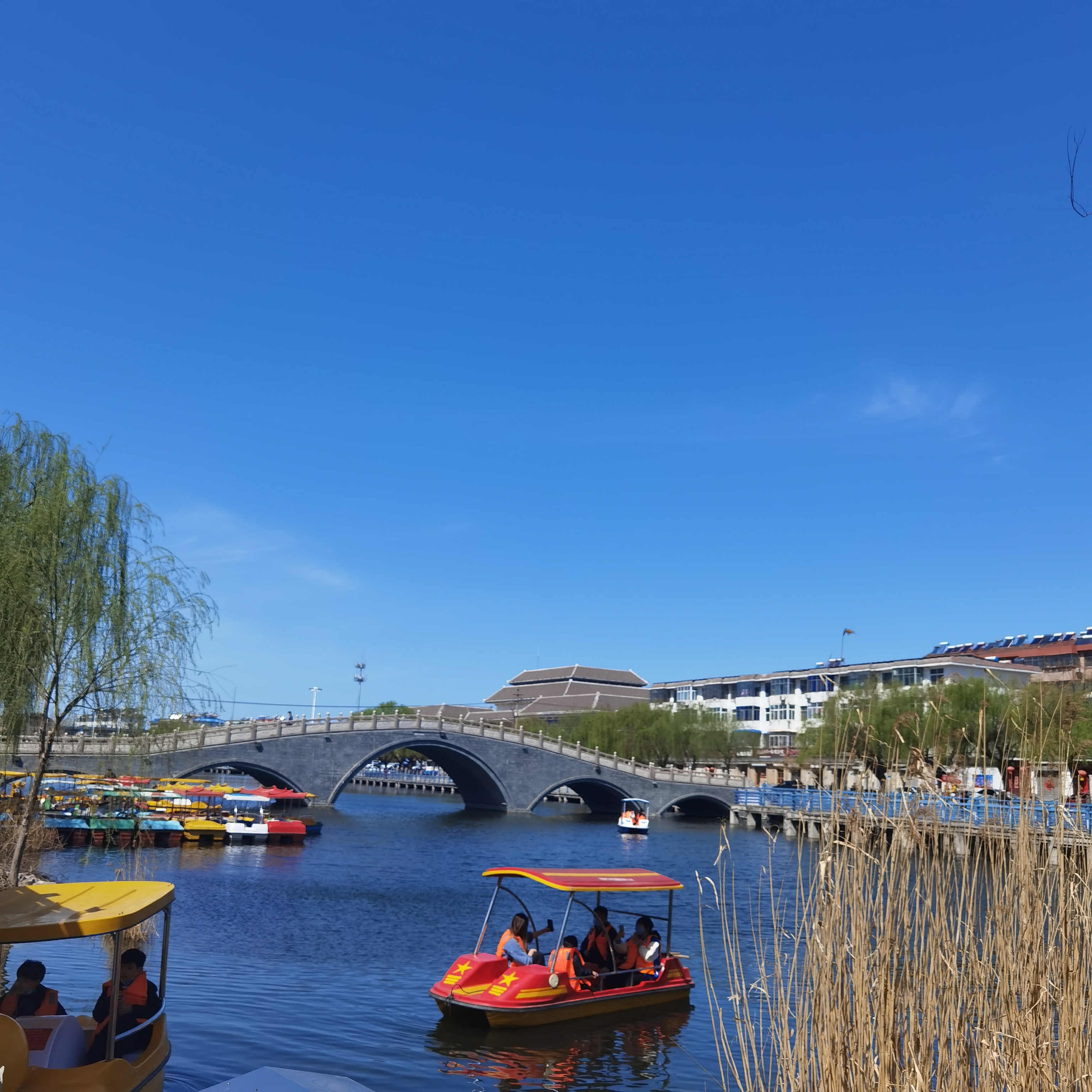 邹城春天里的唐王湖美景