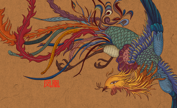 凤凰和孔雀的区别