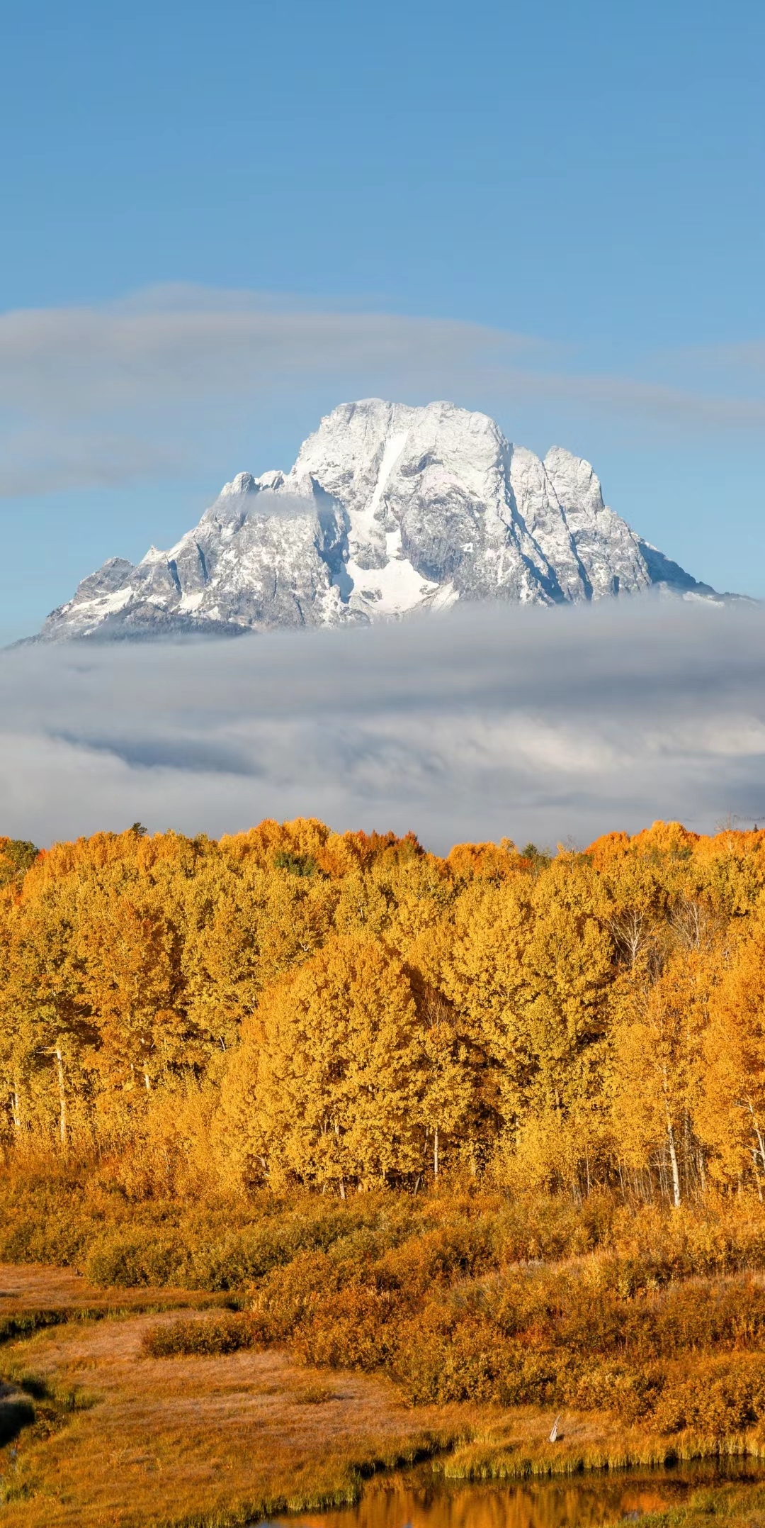 云南秋天的美丽风景,让人们感受到了大自然的奇迹和生命的美好