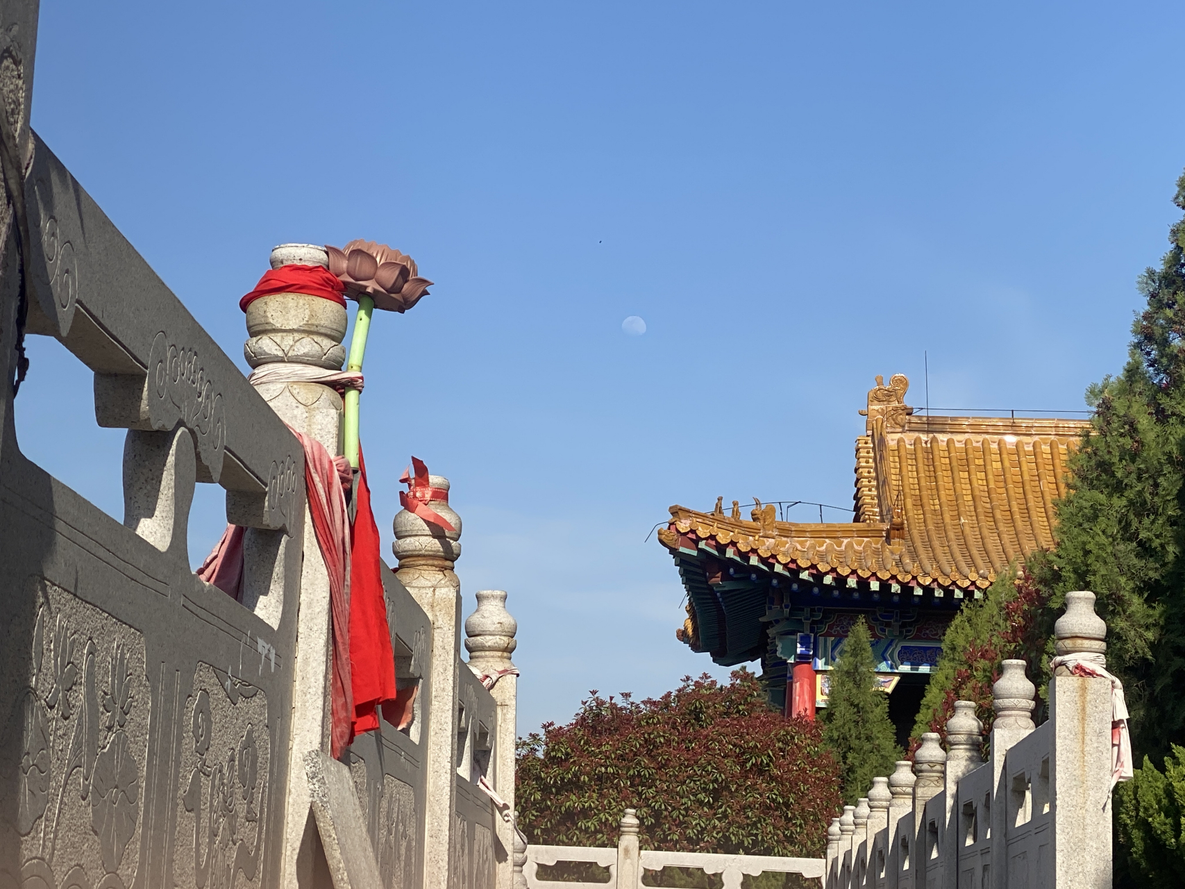 今天去了日照莒县的惠感寺,远远看到半山腰上有座寺庙,去到地方,山下