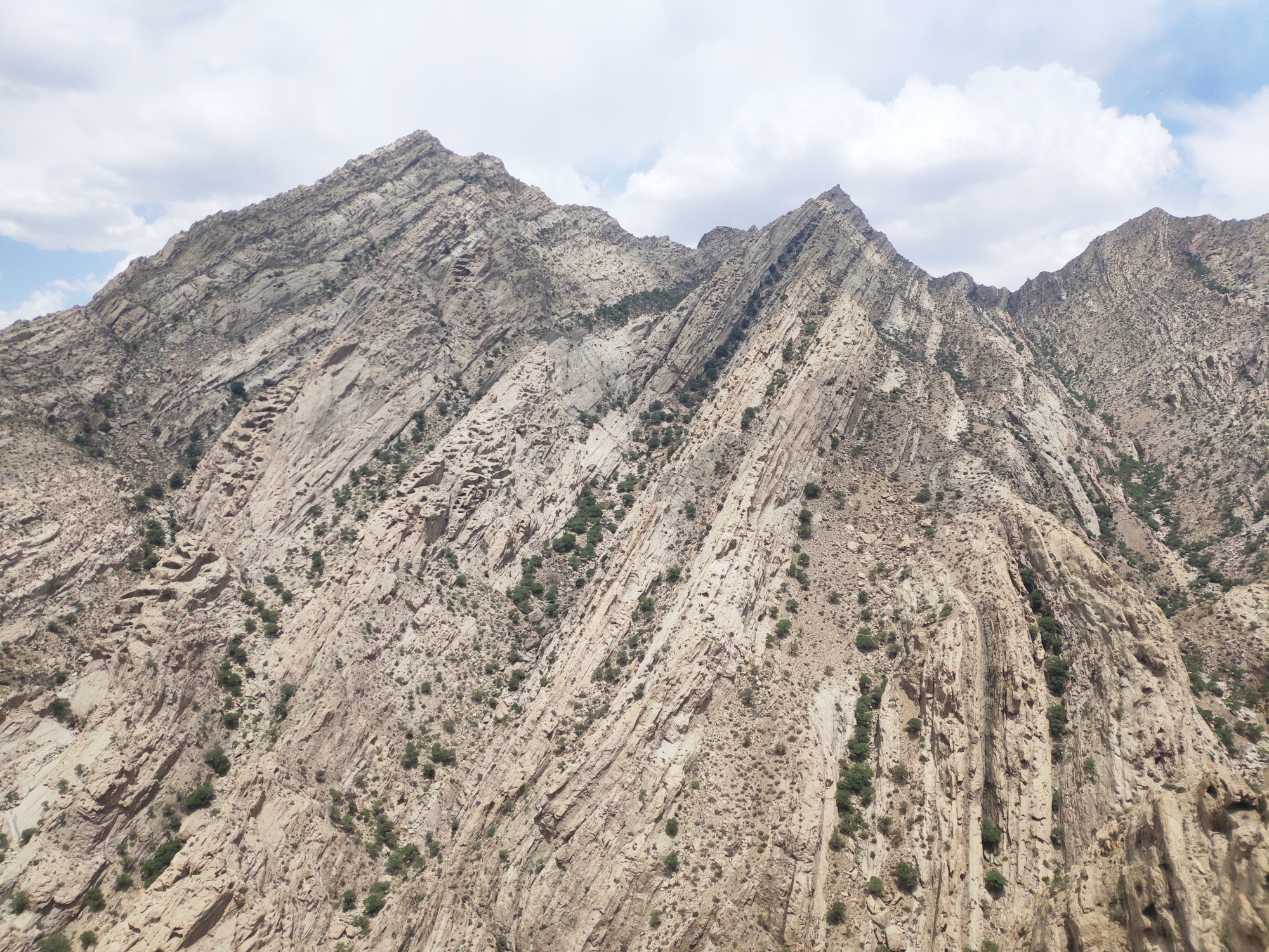 宁夏贺兰山风光,恶劣的自然环境孕育顽强的生命