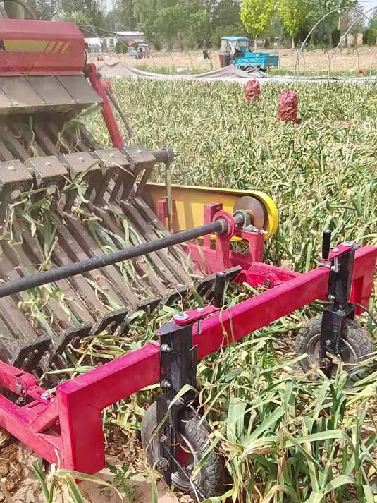 全自动的大蒜收割机,科技改变农业,真是越来越先进了