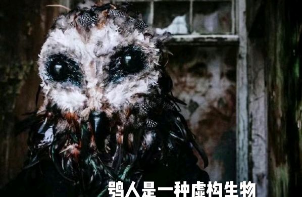 「uma」系列①——鸮人(康沃尔鸮人目击事件)慎入!