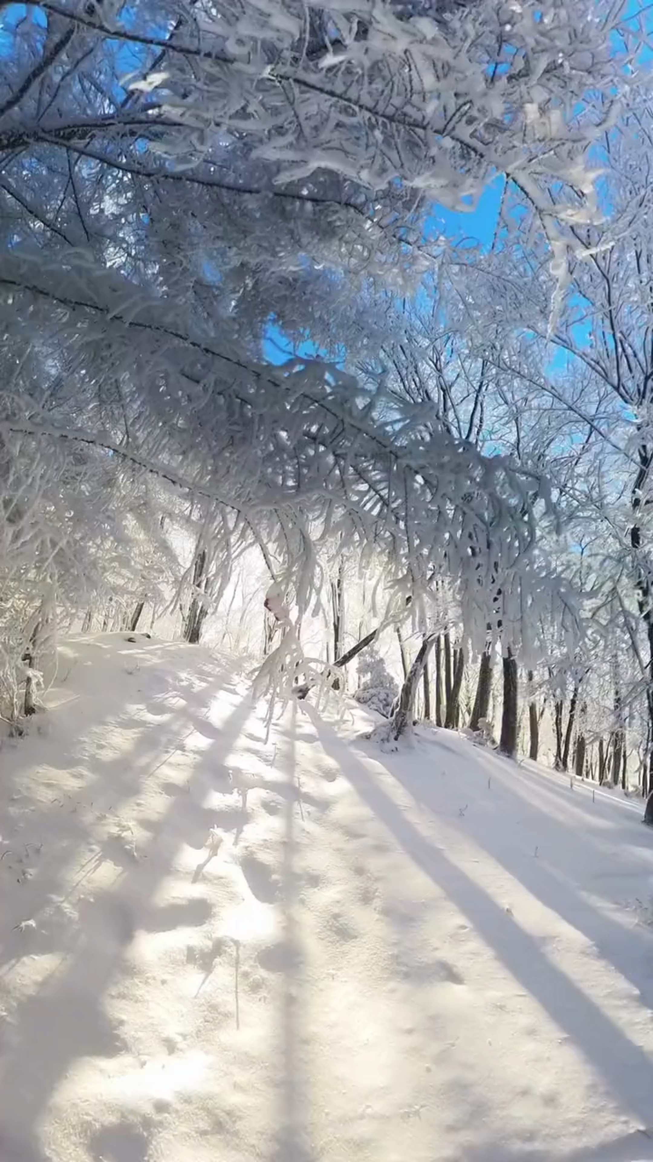 山本无忧,因雪白头,水本无愁,因风起皱.