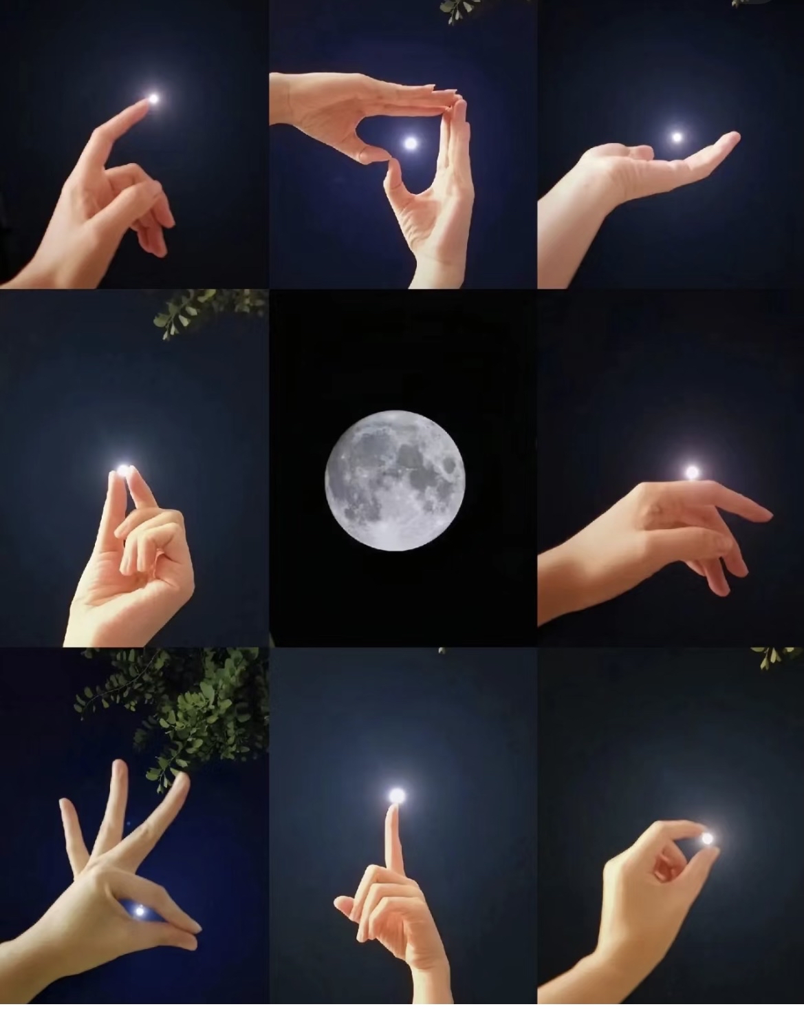 昨日上午10点,单位几个人约好一起出去办事,中午吃