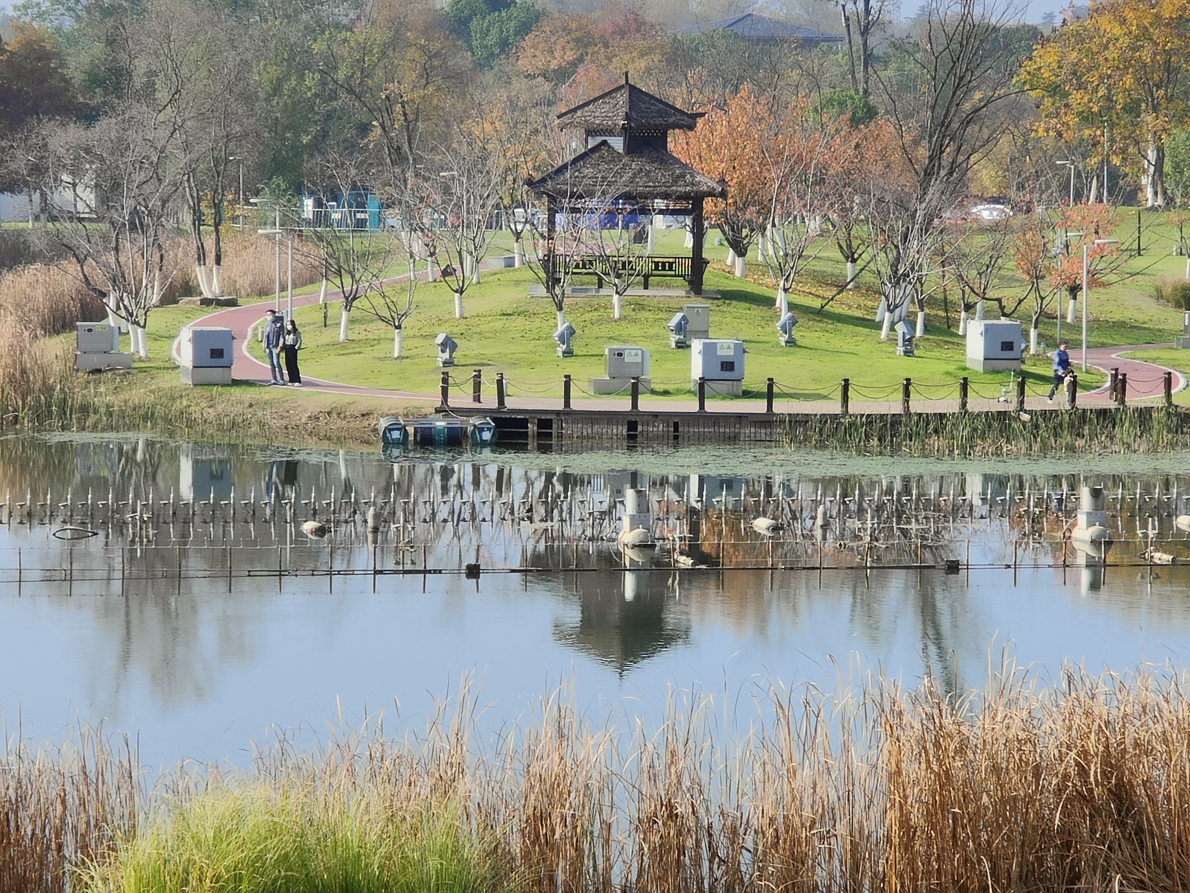 金乌温泉公园图片