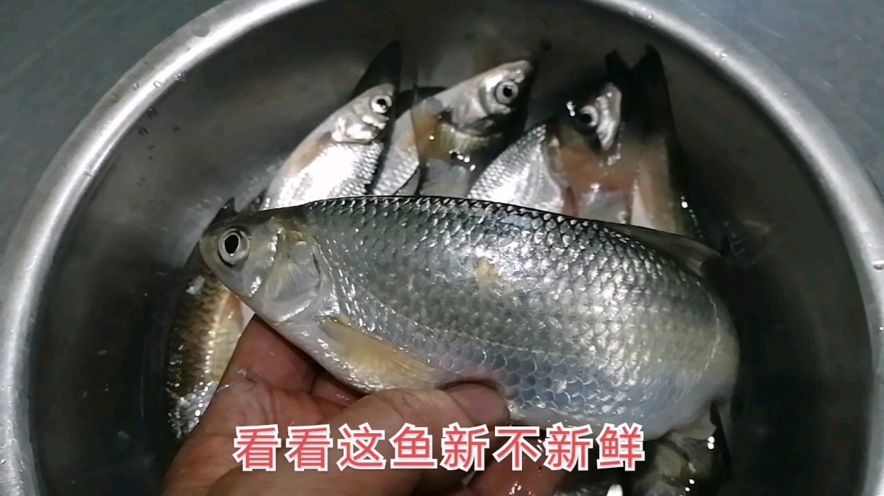 新鲜的白鱼,用这种简单的做法,才能保证它的鲜美#加油吧考生#
