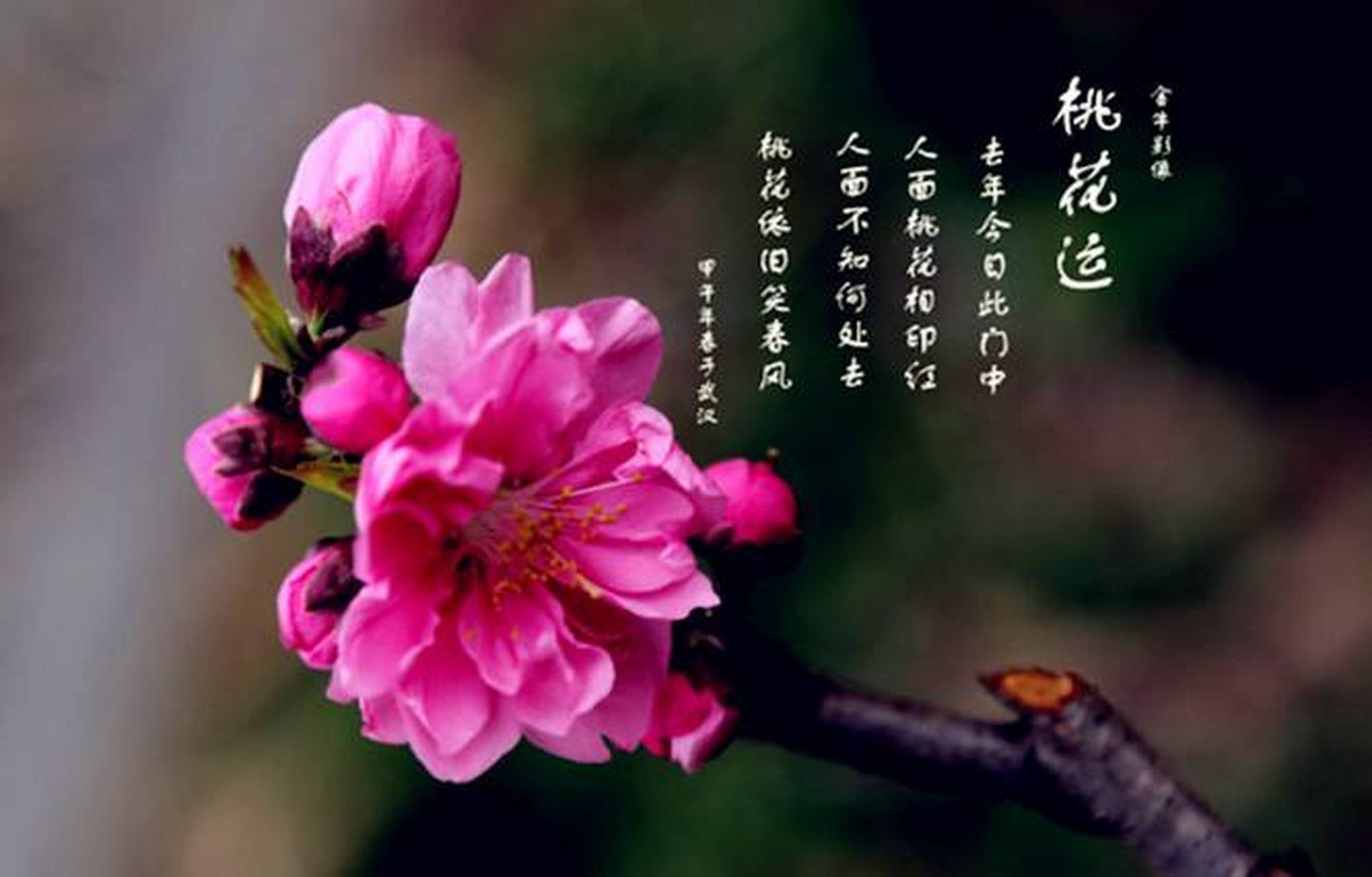 那究竟要怎么样做,才能交上桃花运?下面就有3个偏方,供大家参考!