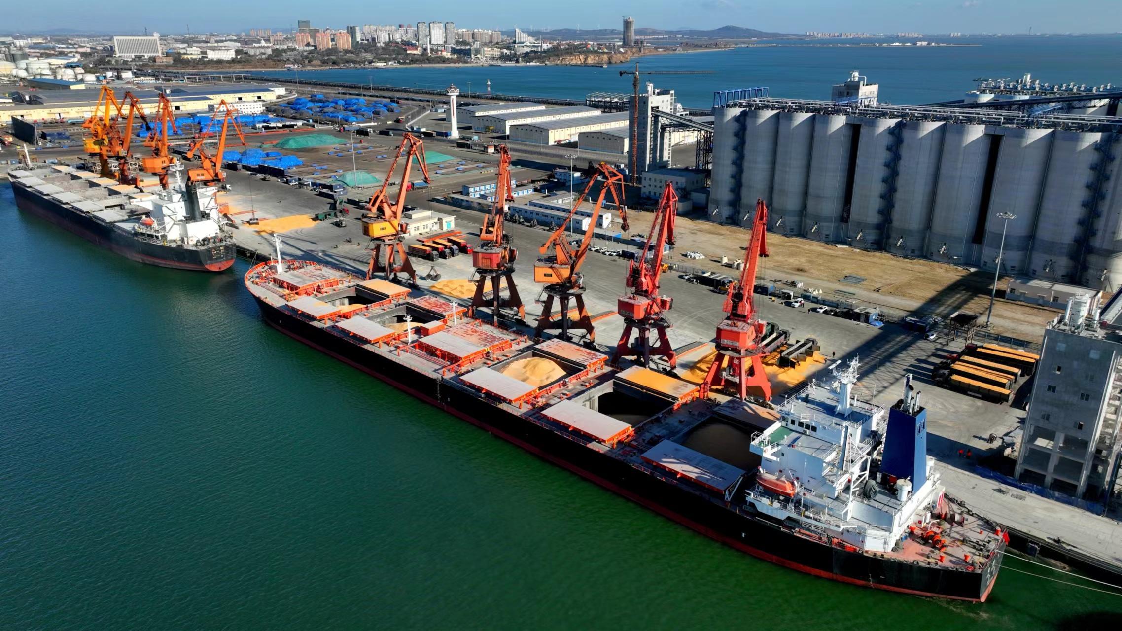 冲刺四季度,北粮南运忙#振兴新突破辽宁杠杠滴# #贯彻二十大辽宁在