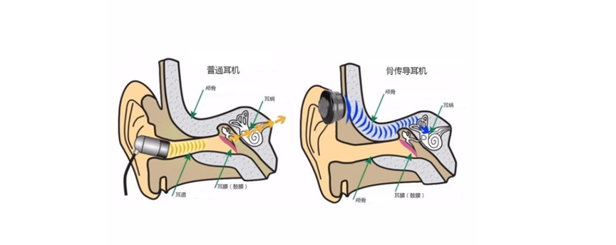 骨传导耳机原理是什么?骨传导耳机优缺点?骨传导耳机怎么挑选?