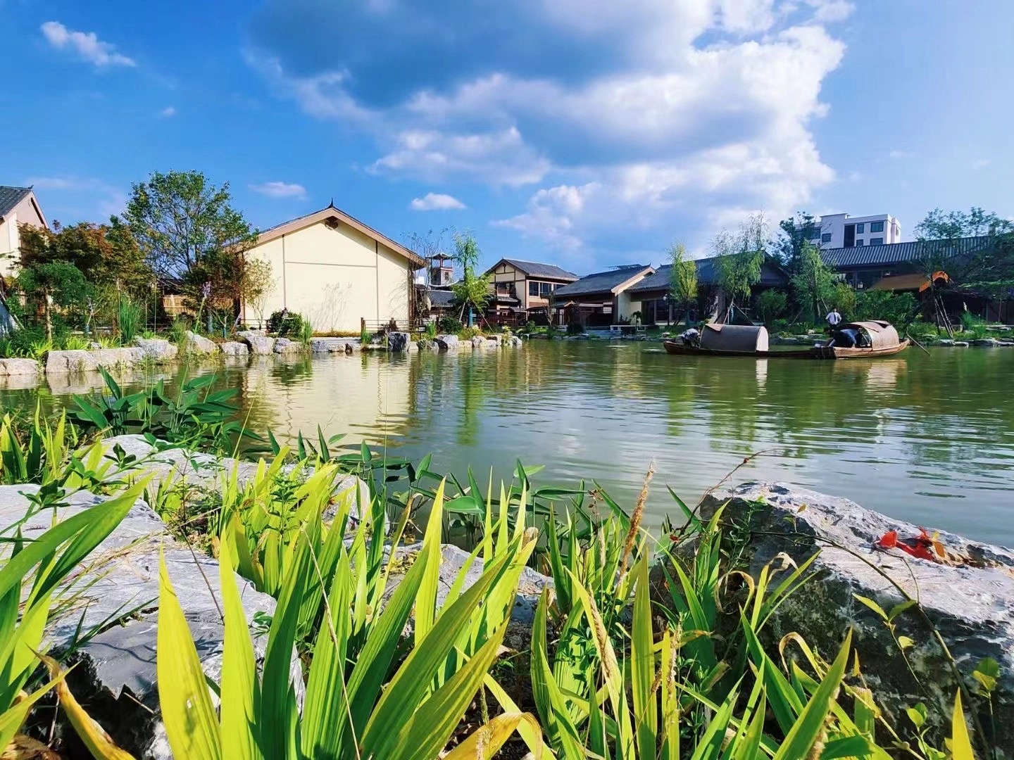 探秘湖北利川齐岳山康养生态园:四季皆宜的天然疗养胜地