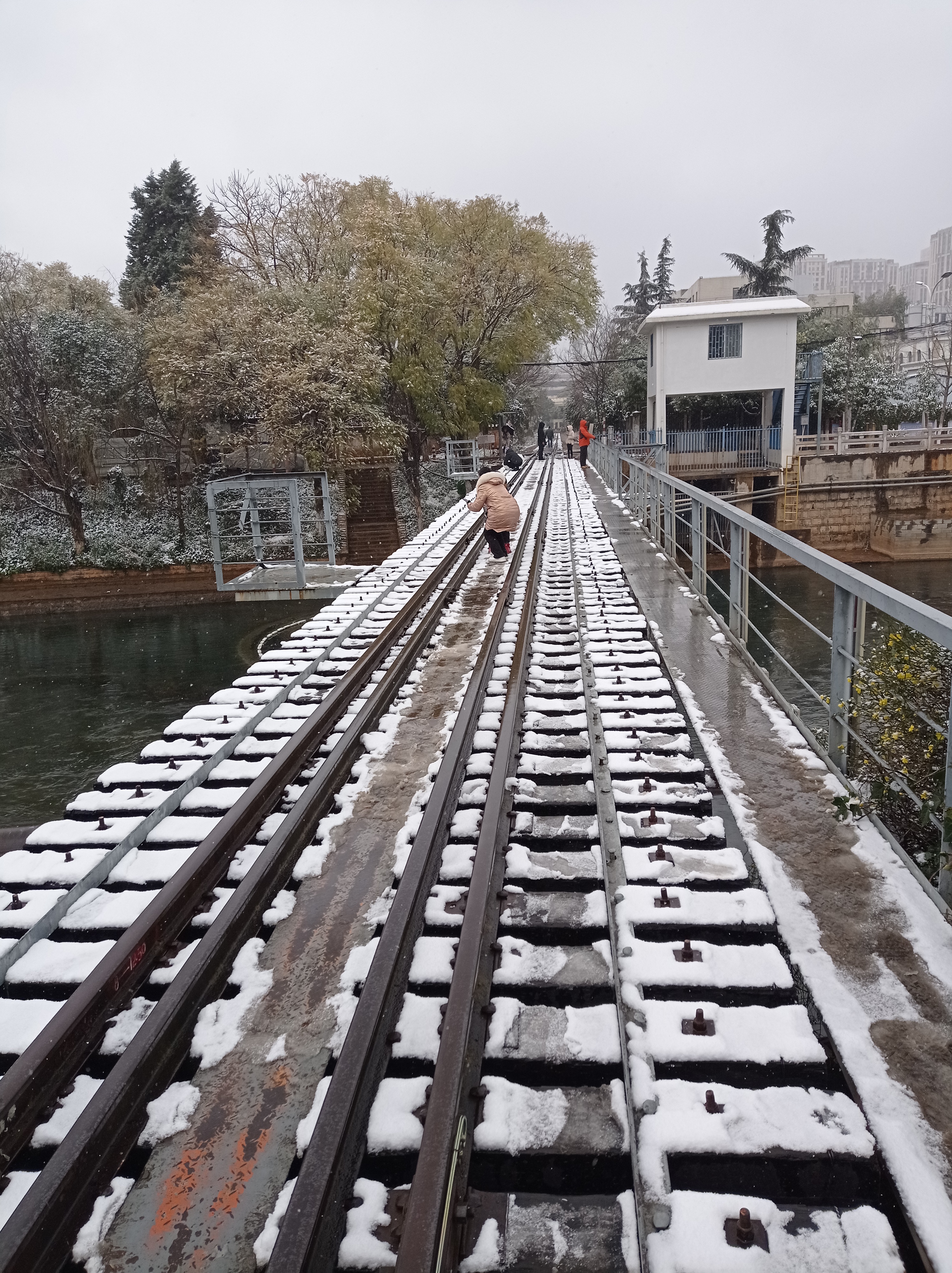 昆明下雪啦雪景美如画少见多怪的昆明人疯狂了