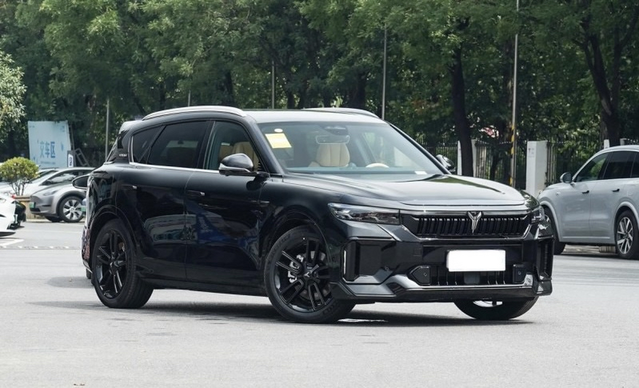 新车沿袭岚图free dna的设计,相较现款更加 动感,前脸的设计在直瀑式