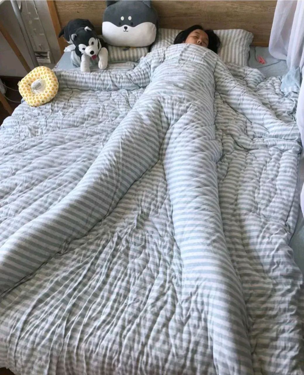 不知道姚明的床有多长