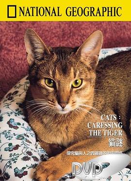 《 猫谜》传奇sf被劫持