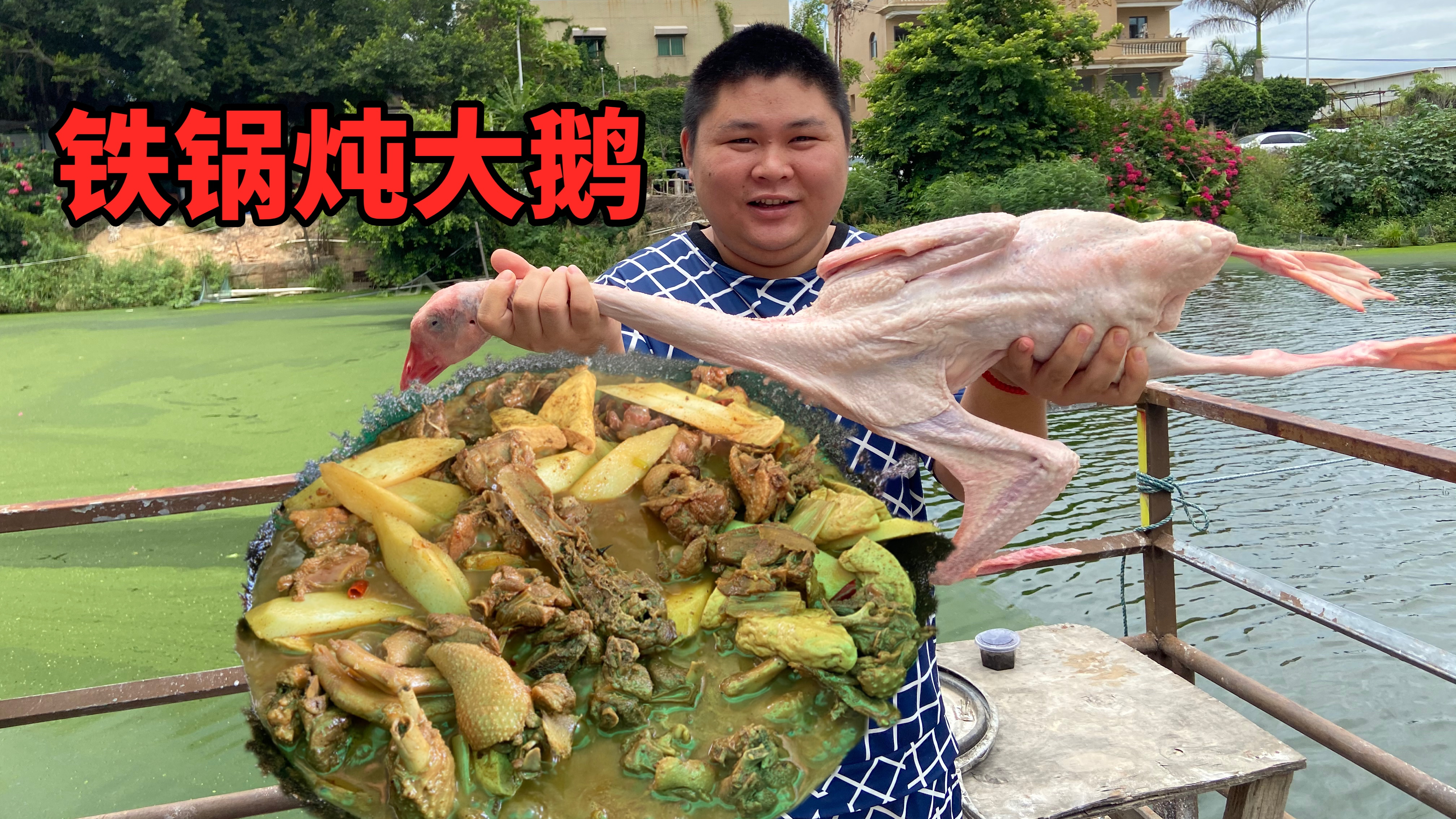 农家乐原生态养殖的大鹅,7斤多的鹅炖一大锅太香了,大胖吃爽了