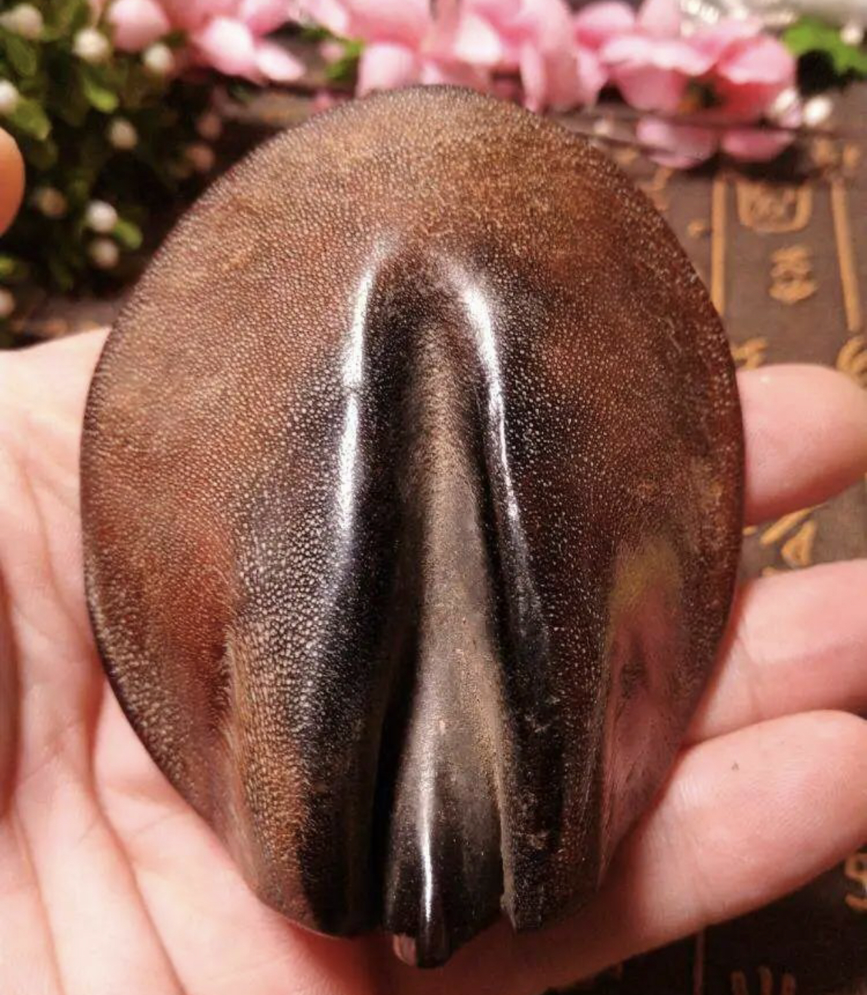 黑驴蹄子真的能辟邪吗?