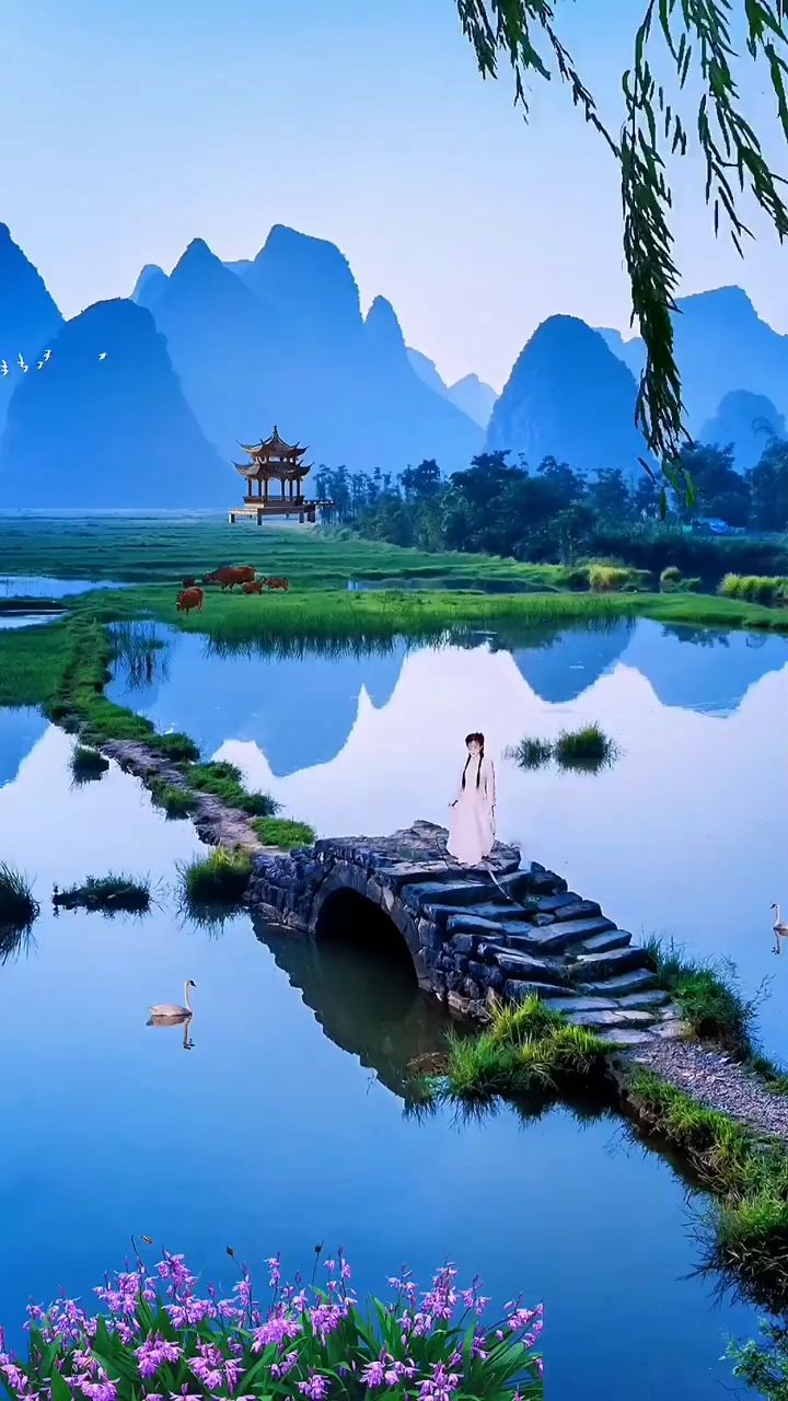 《你是我的罗加》