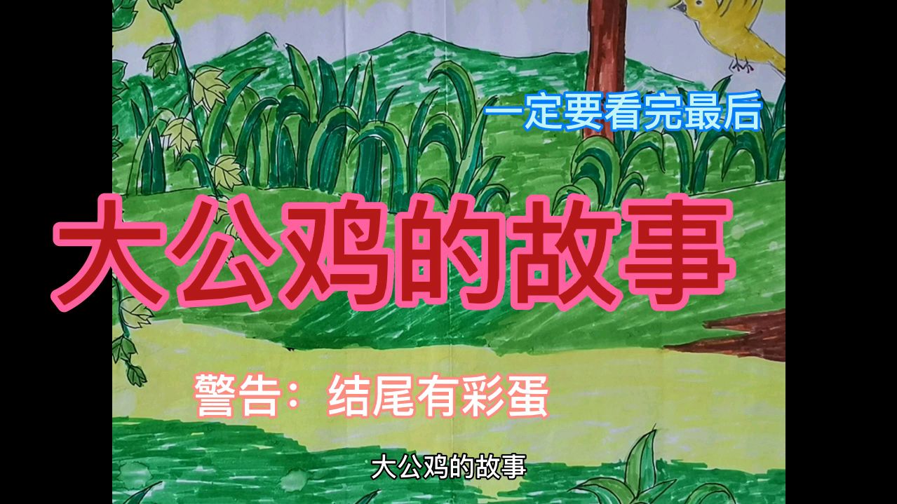 大公鸡的故事,你知道公鸡为什么老是打鸣吗?9