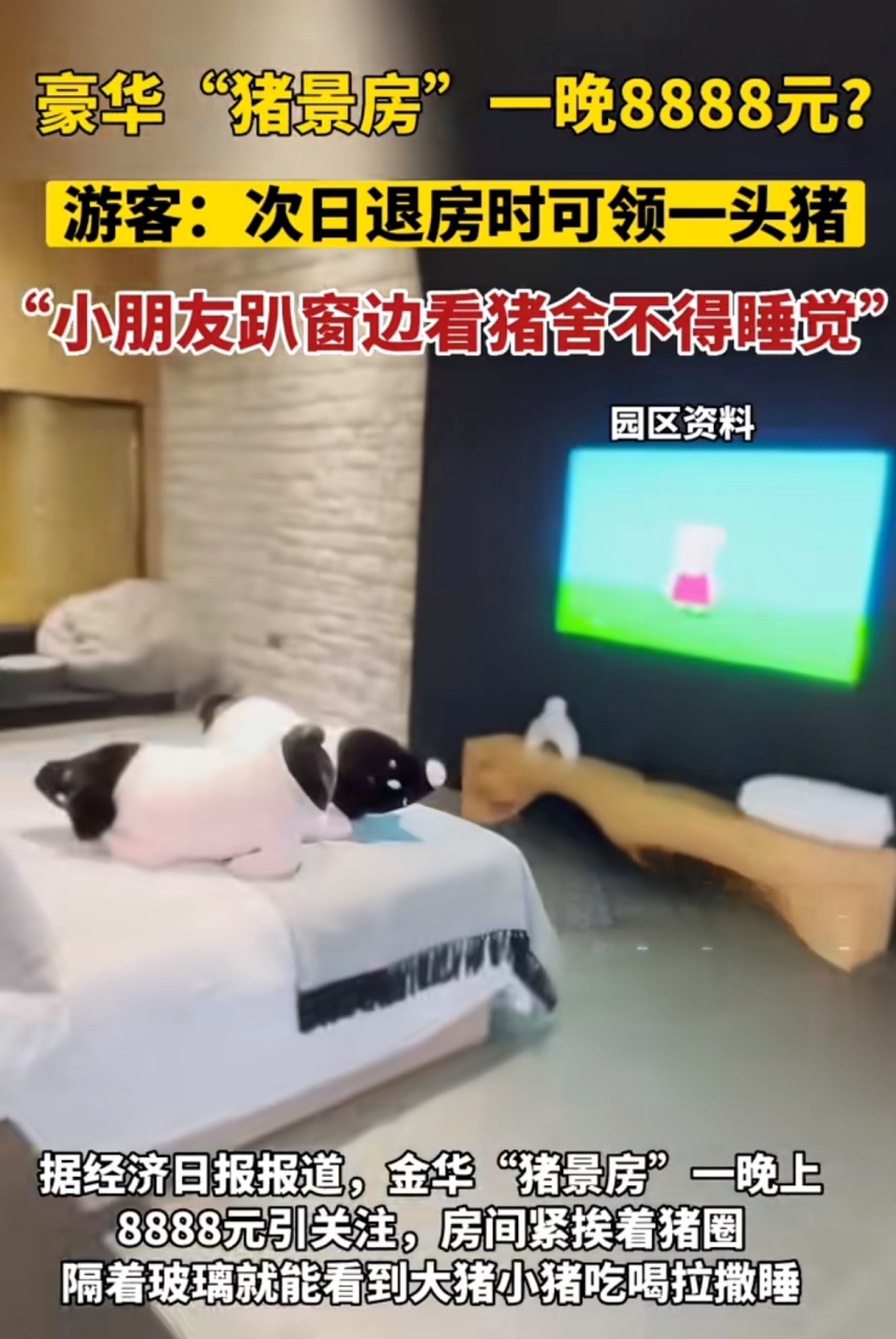 浙江金华推出豪华版"猪景房",住一晚上8888元,第二天走时可以带走一头