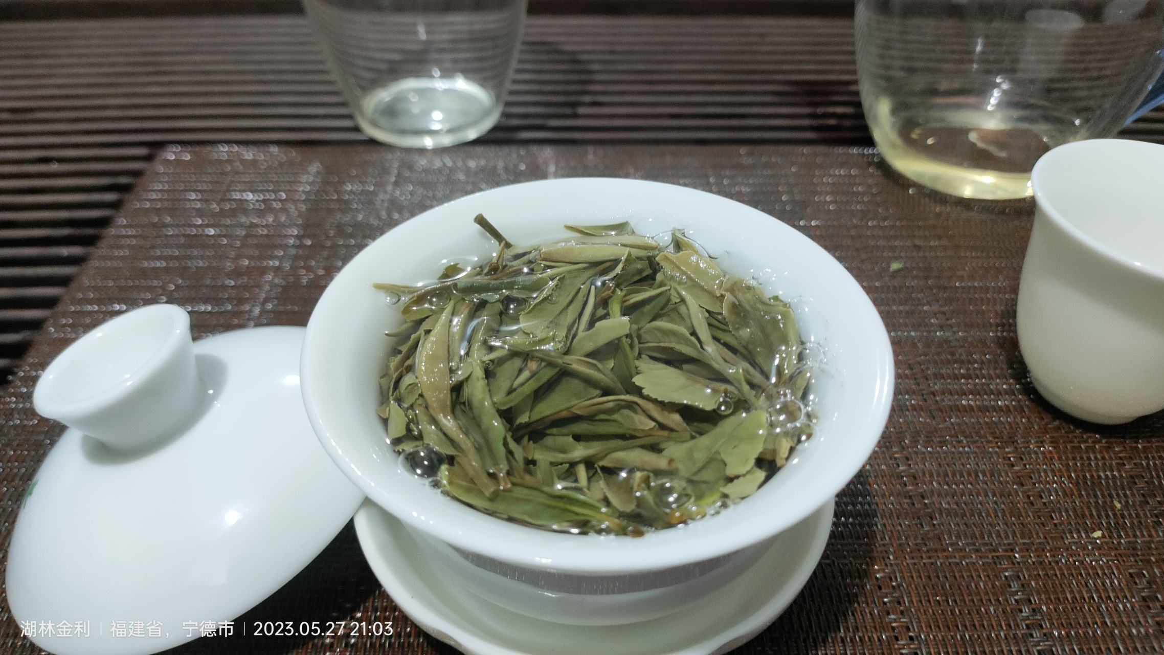 福鼎大白茶树