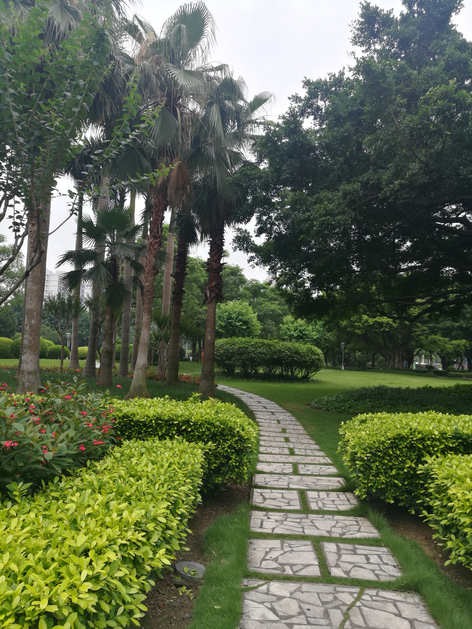 佛山禅城市区内的一所公园季华公园