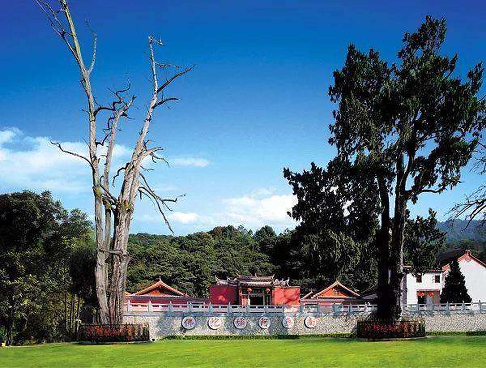 原创诗歌:《生死树》 题记:读梅州灵光寺的两棵生死树及电影《生死树