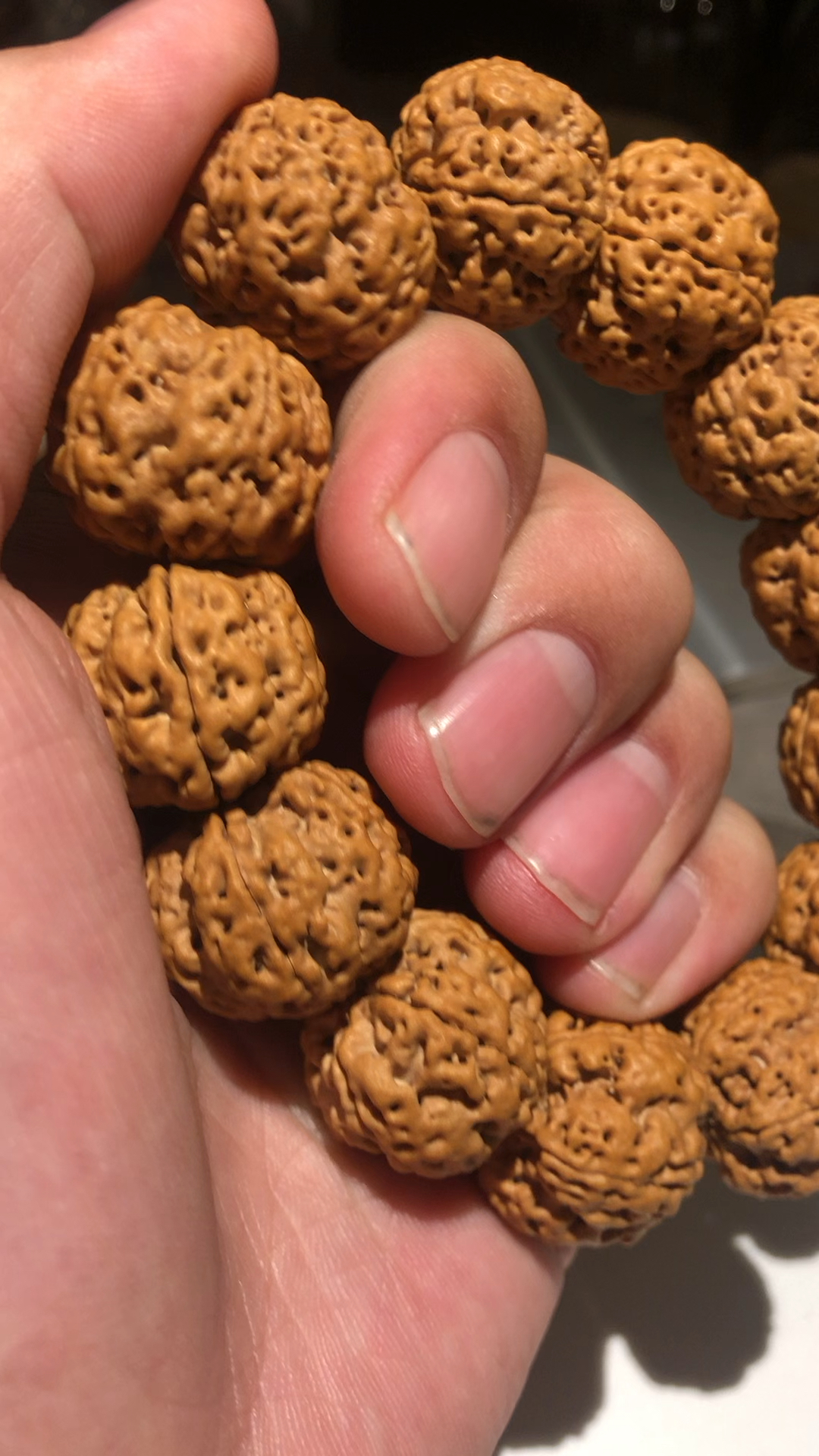 这种皮质的金刚菩提,必定牛津红!