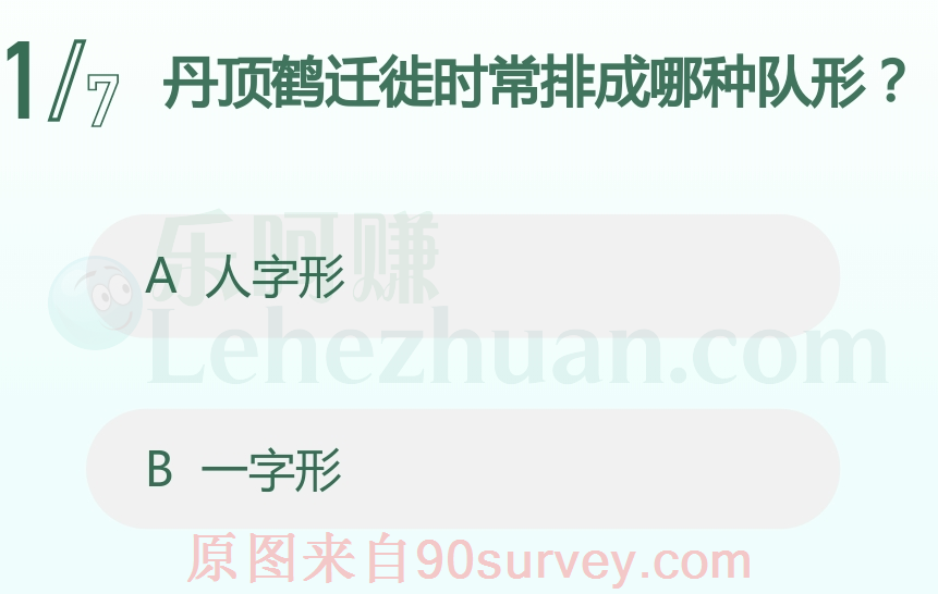 丹顶鹤迁徙时常排成人字形 丹顶鹤迁徙时常排成人字形