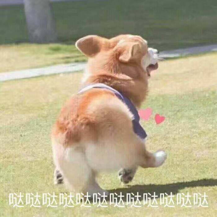 看下巴猜明星第二弹来咯,快来试一试你的眼力,是不是又准又好