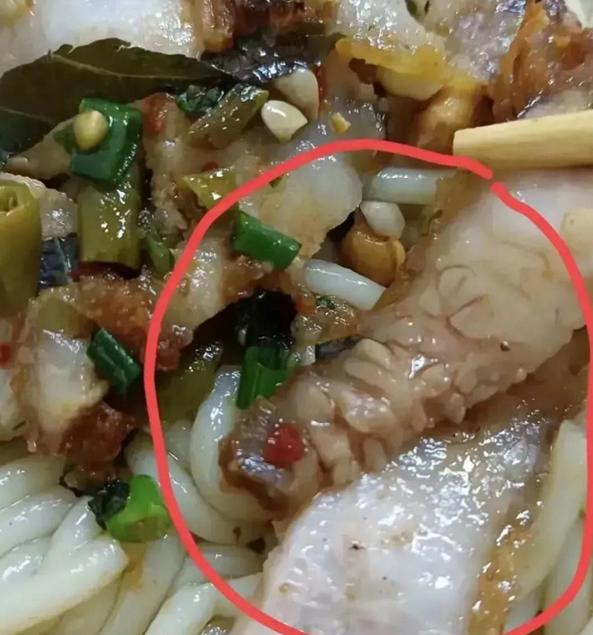 这商家夜太黑了吧!猪脖子的淋巴肉,猪排毒的地方,吃多了癌症