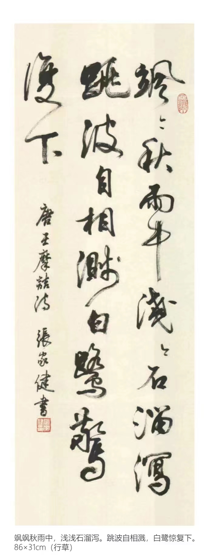 上海书法家张家健简介