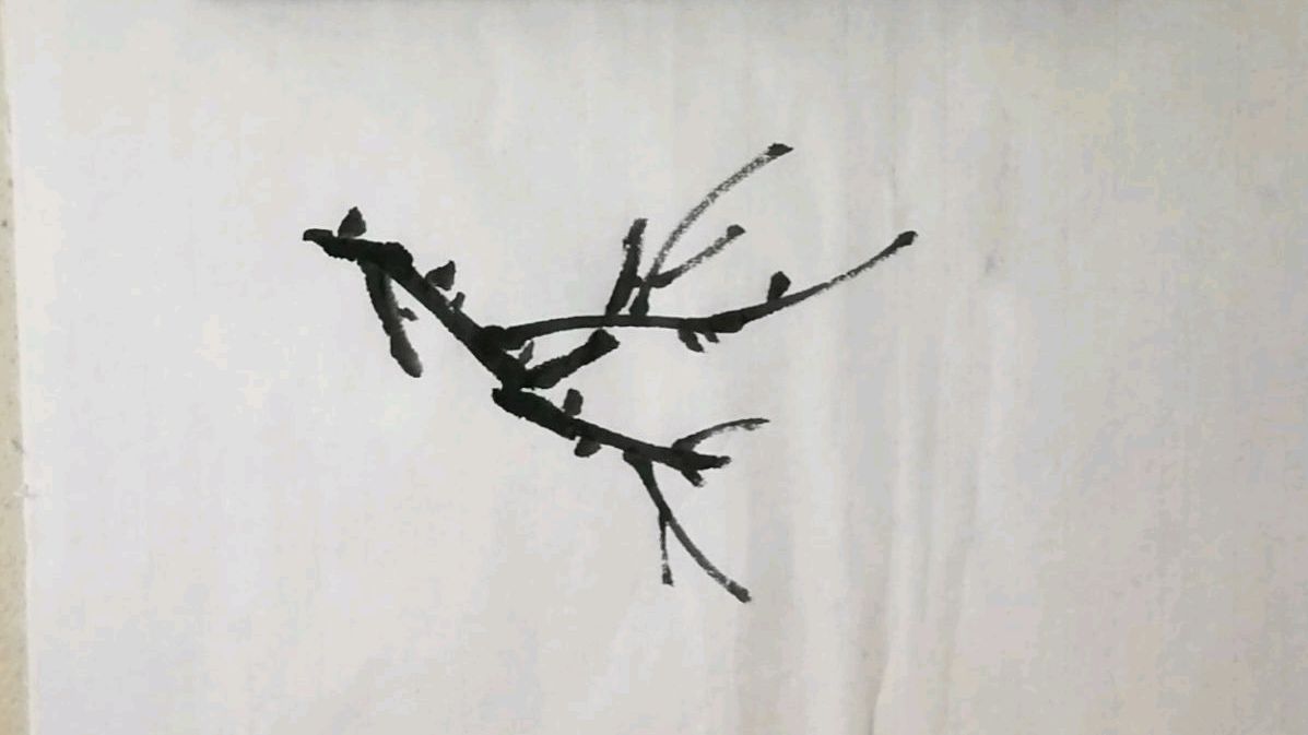 2.1.4枝干的画法步骤,梅花,花卉,花鸟鱼虫,国画快速入门