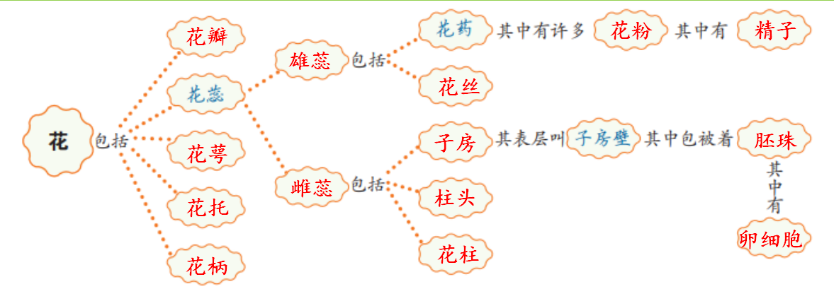 开花和结果板书设计图片