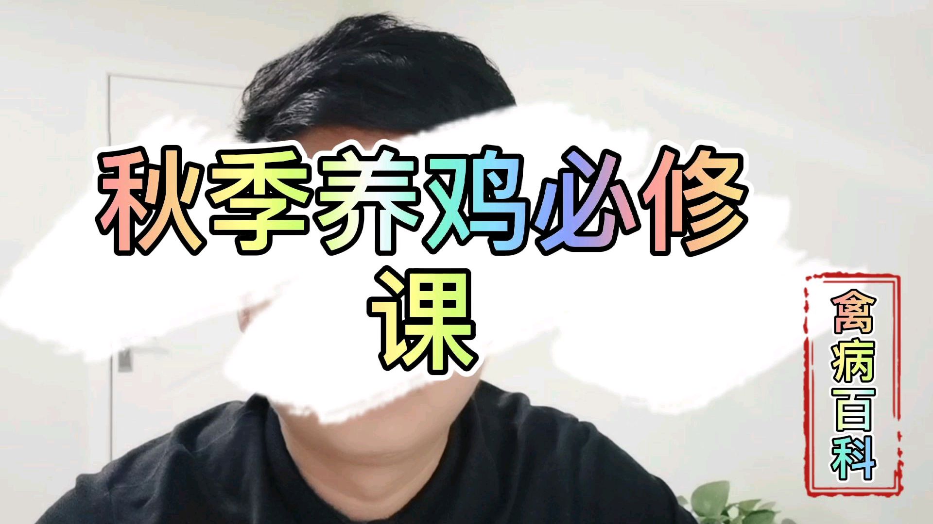 新玉米喂鸡危害大,秋季养鸡三大要点,教你养好鸡,赚大钱!