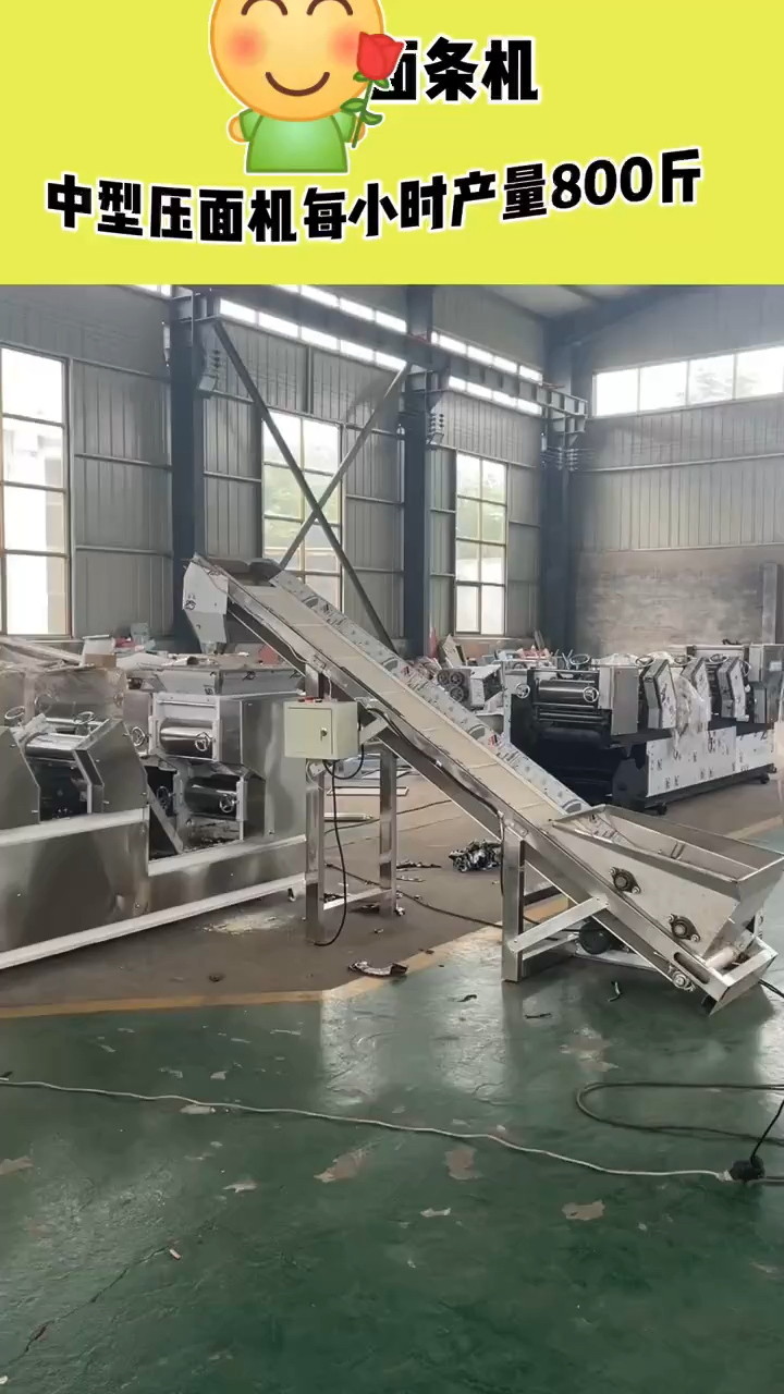 乐世博中型压面机#挂面机#压面机每小时800斤-度小视
