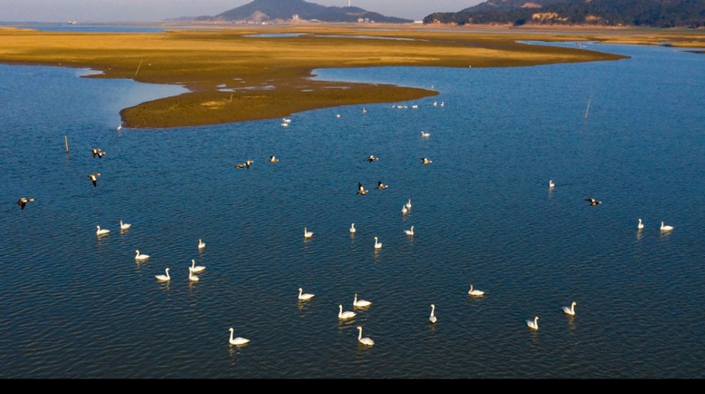 次来到鄱阳湖,这边景色确实让人陶醉,夕阳与湖面交织成一道靓丽的风景