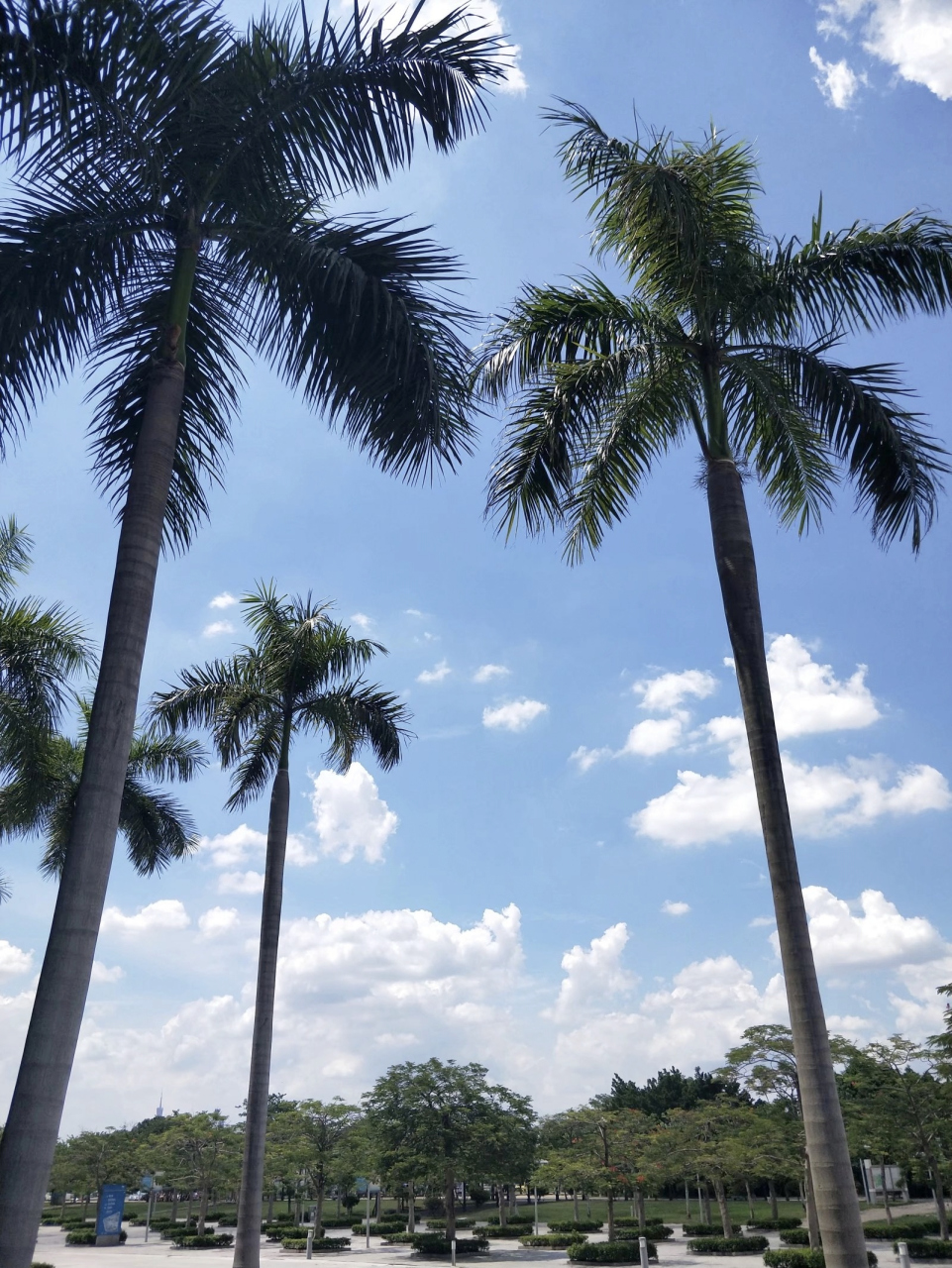 "年少读到这句诗时并没多少感悟,只知道抄老师让做的笔记.