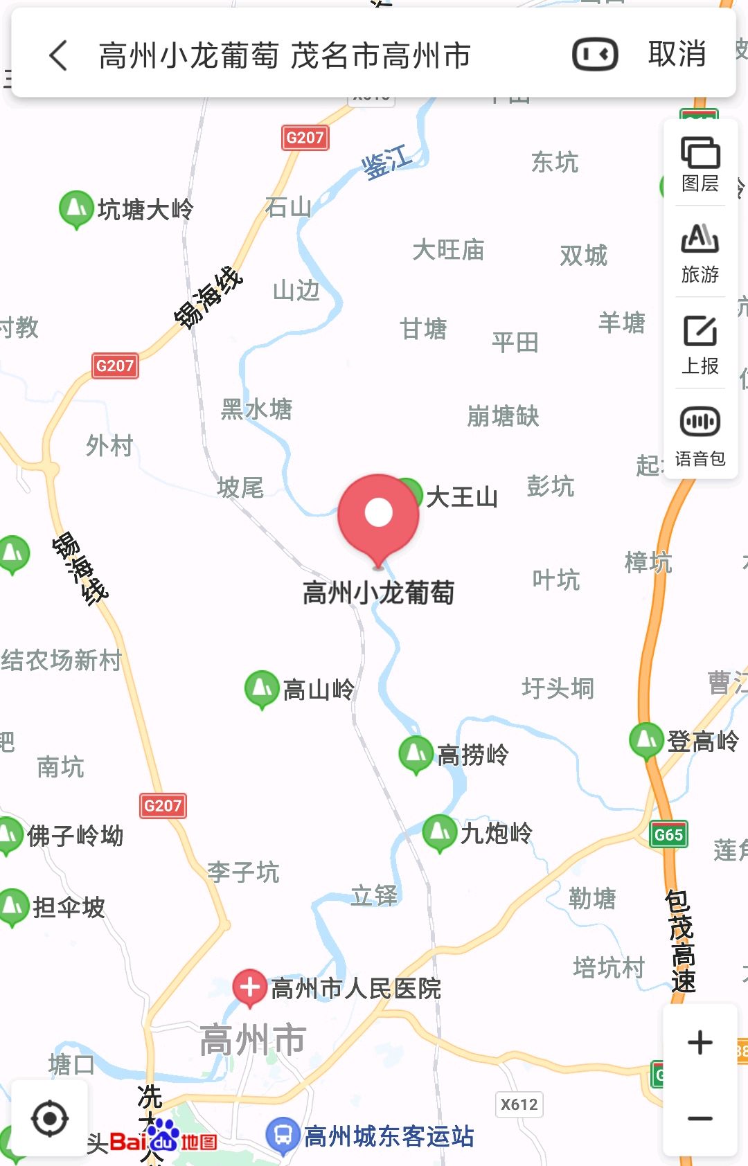 青年担当|高州这小青年从高校毕业,回乡种葡萄变身"葡萄王子"