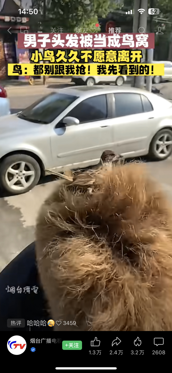 [嘻嘻][嘻嘻]老人言:不梳头,头发就跟鸟窝一样,没想到,真成鸟窝了