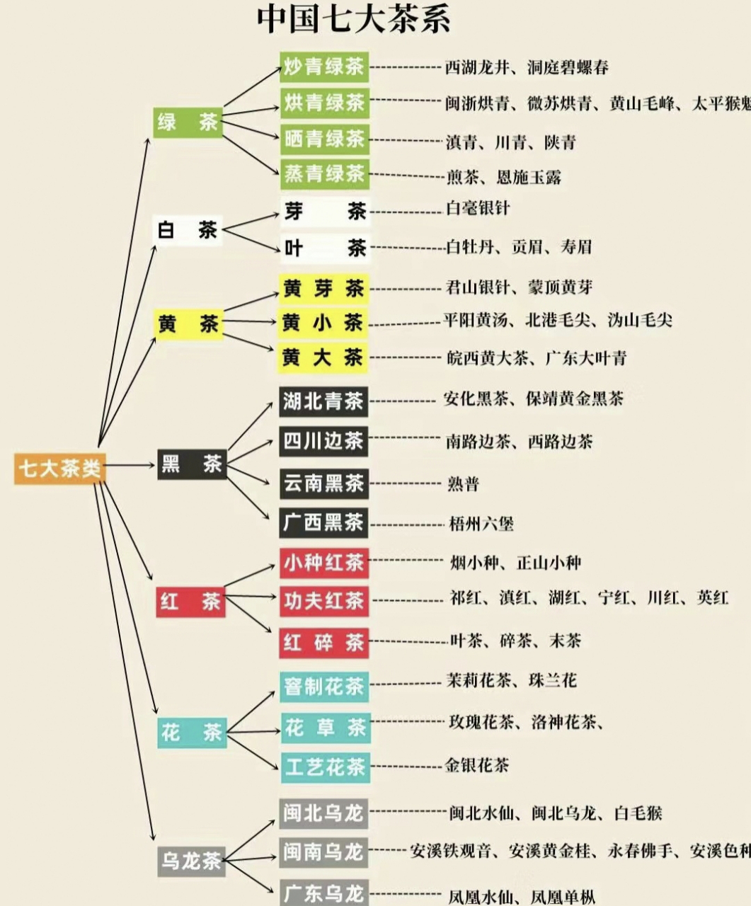 茶的种类图片和介绍图片