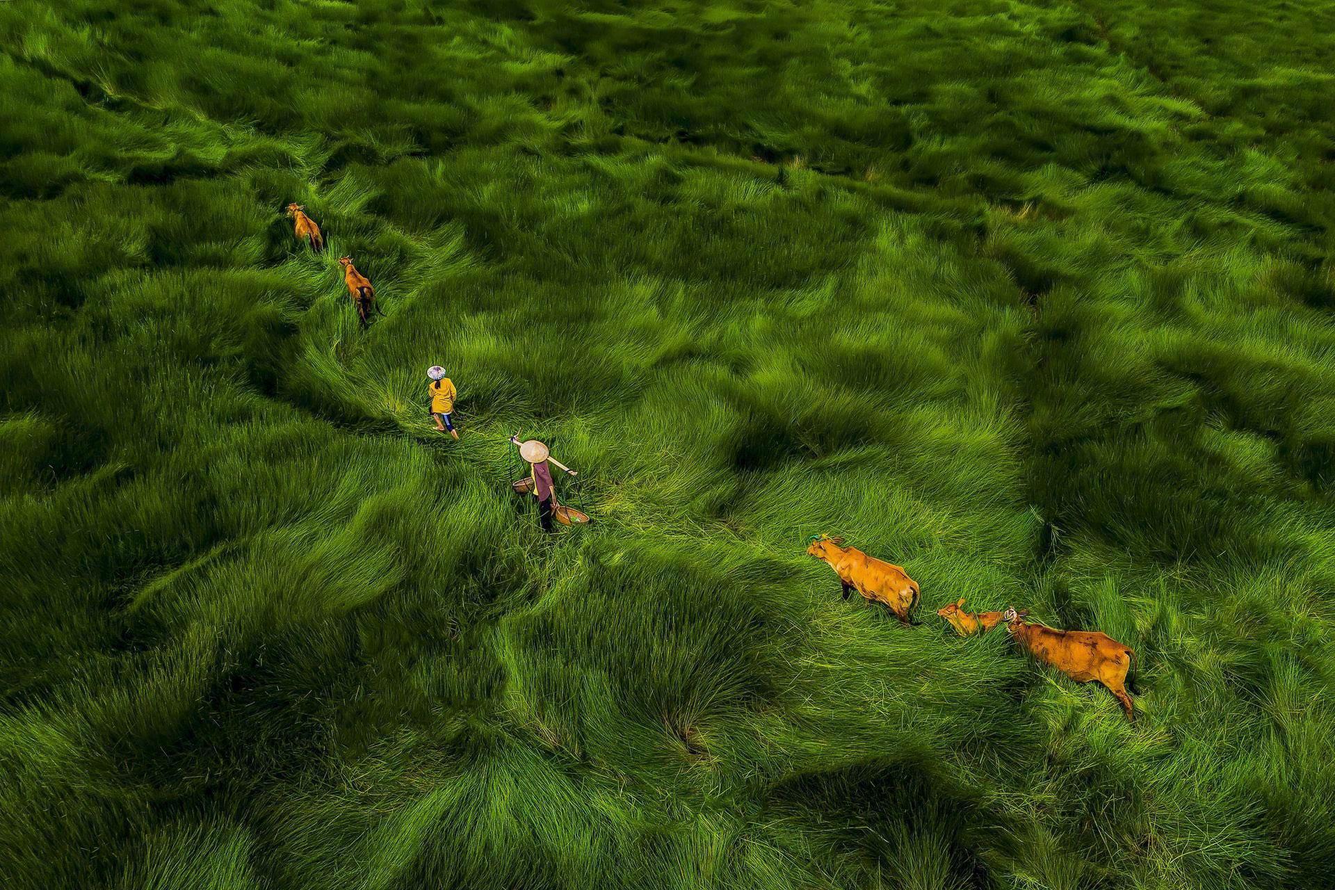 越南摄影师 kha07nh phan 摄影作品   #绘画欣赏