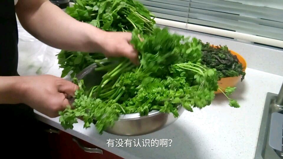 二哥教储存山野菜好方法,冬天拿出来吃依然很新鲜