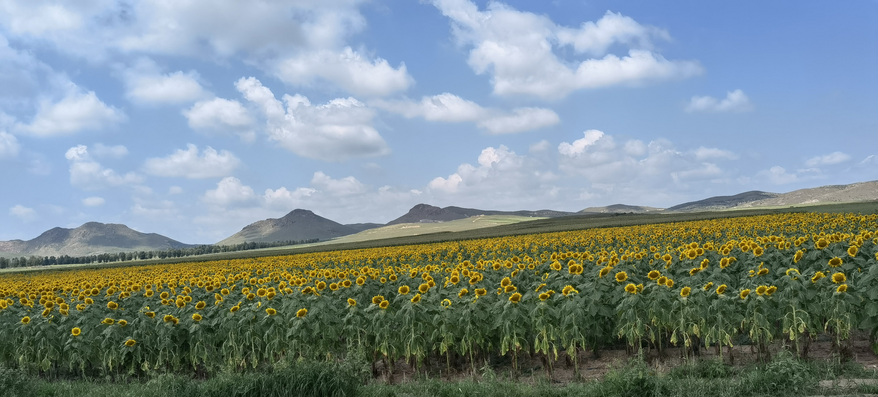 第二十四站:巴林右旗.