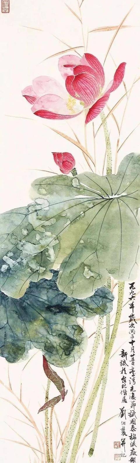 「荷花篇」盘点被「大师国画作品」惊艳绝美的画作分享第十九弹,今天