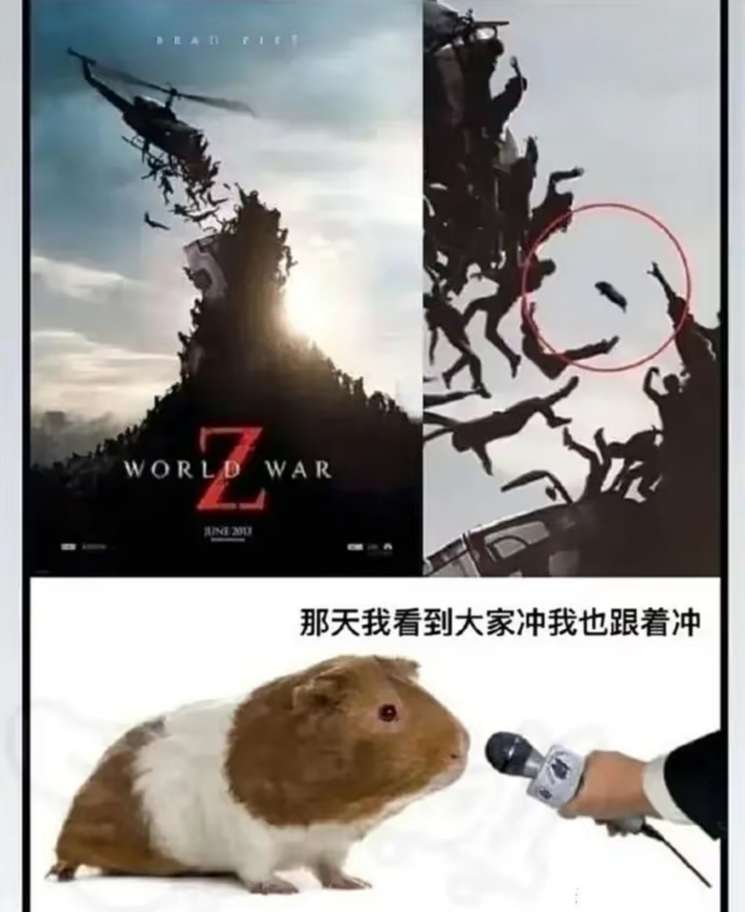 阿鼠,你来真的啊#搞笑# #小动物# #趣图搞笑