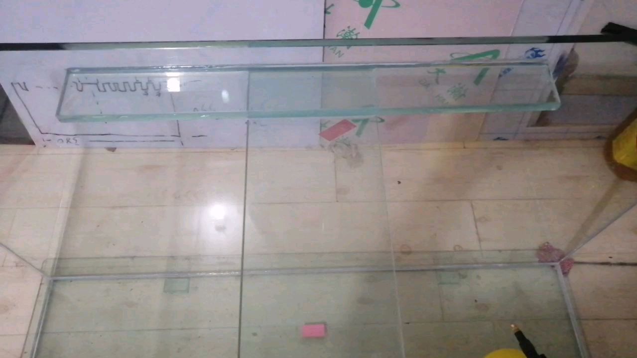鱼缸工字拉筋,你见过吗?马公给您讲解