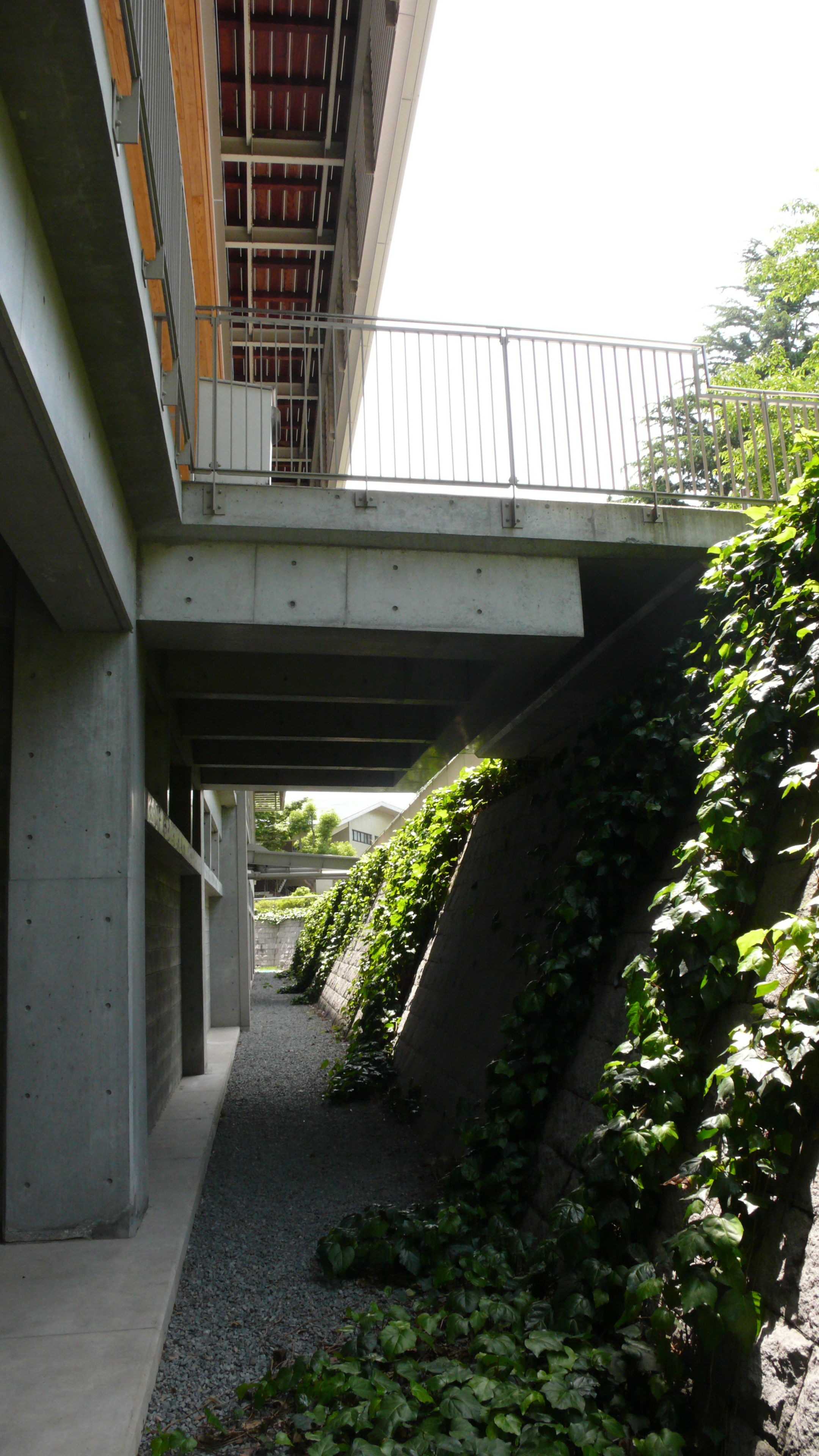 安藤忠雄集合住宅图片