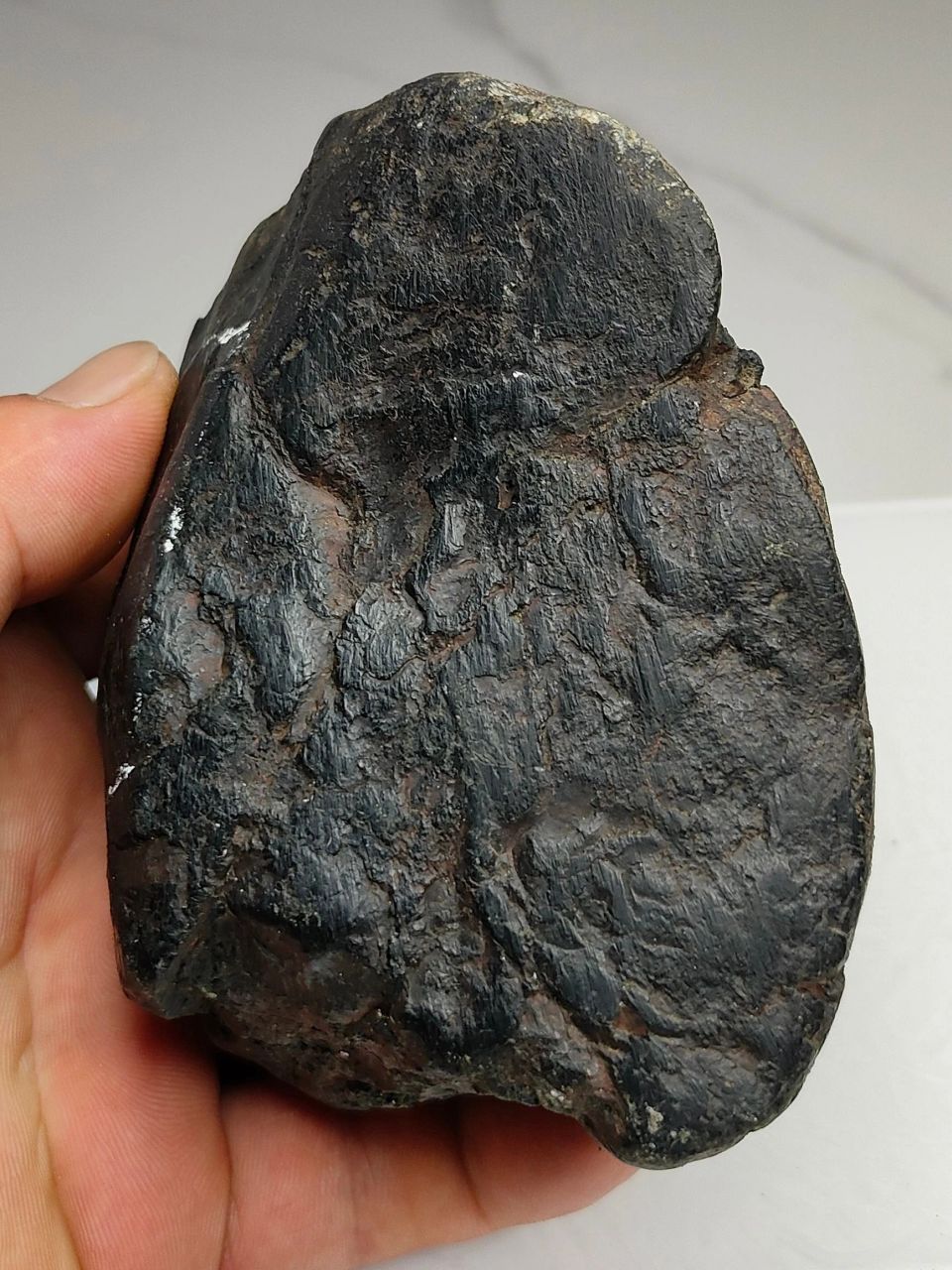 翡翠原石# #点击头像看直播# 1公斤缅甸老坑黑乌沙牌子料 尺寸11--77